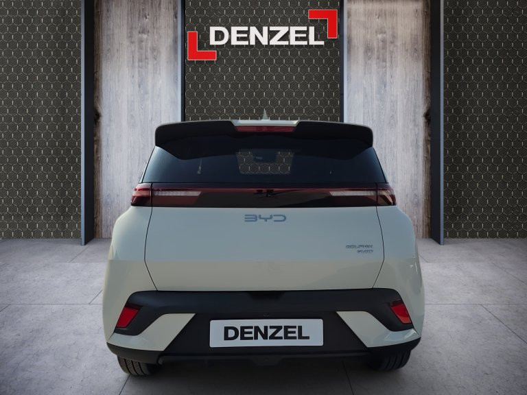 Bild 1: BYD Dolphin Surf Comfort