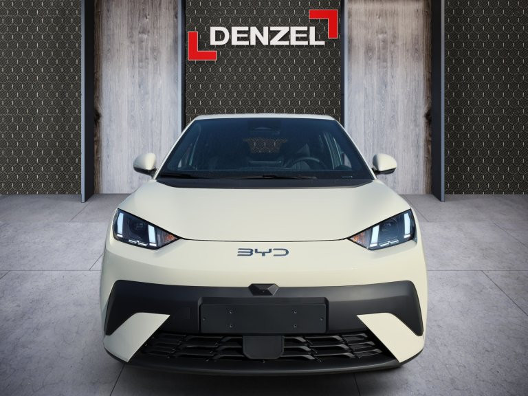 Bild 2: BYD Dolphin Surf Comfort