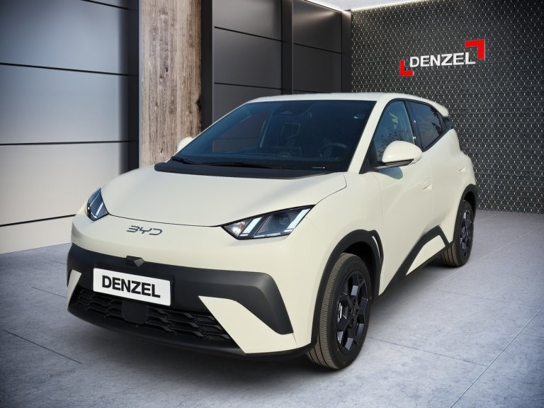 Bild 2: BYD Dolphin Surf Comfort