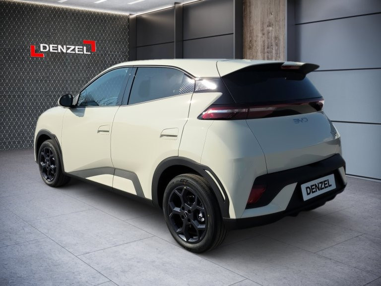 Bild 4: BYD Dolphin Surf Comfort