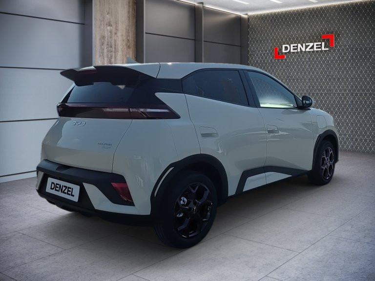 Bild 5: BYD Dolphin Surf Comfort