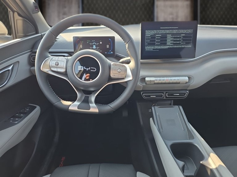 Bild 8: BYD Dolphin Surf Comfort