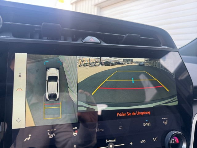 Bild 9: Lexus RZ 350e  Executive