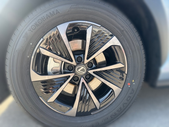 Bild 12: Lexus RZ 350e  Executive