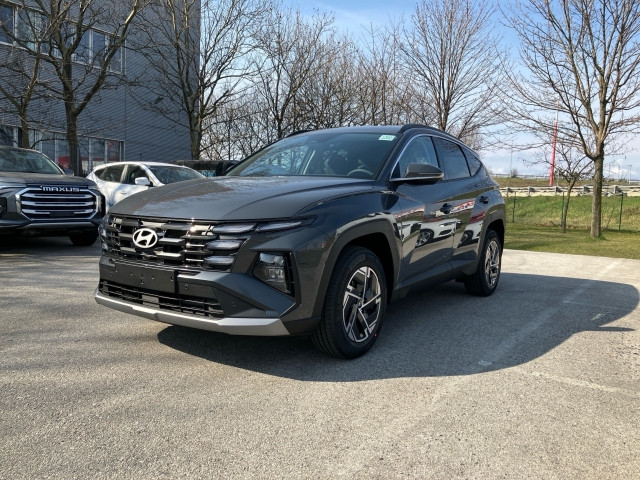 Bild 5: Hyundai Tucson NX4 Jubile 1,6 T-GDi HEV 2WD AT