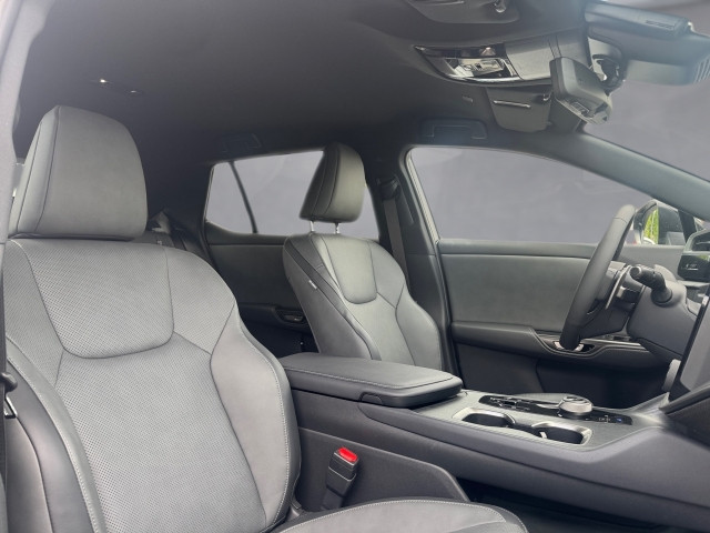 Bild 6: Lexus RZ 500e  Executive