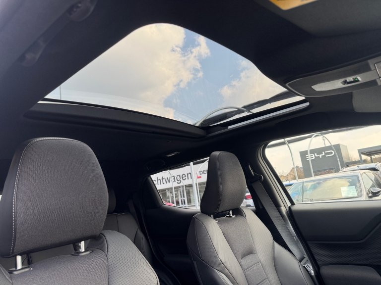 Bild 7: Toyota Urban Cruiser BEV 4x2 Lounge 128 kW