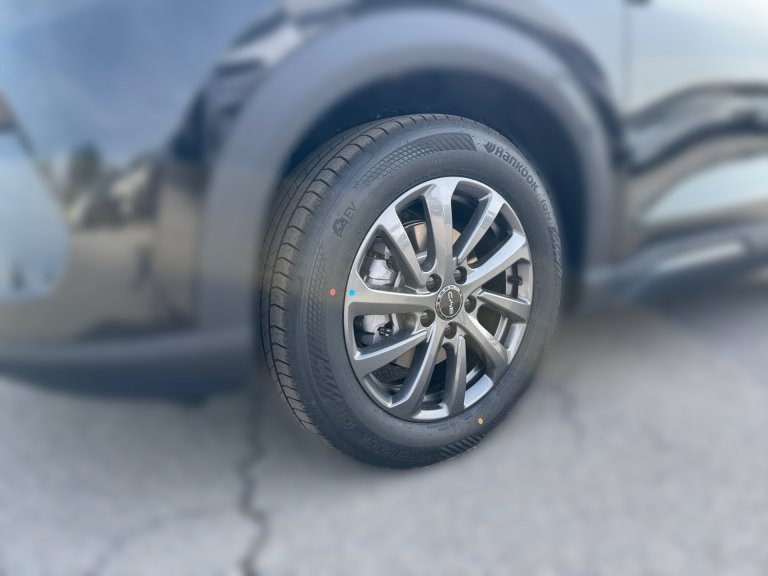 Bild 4: BYD ATTO 2 DM-i Boost