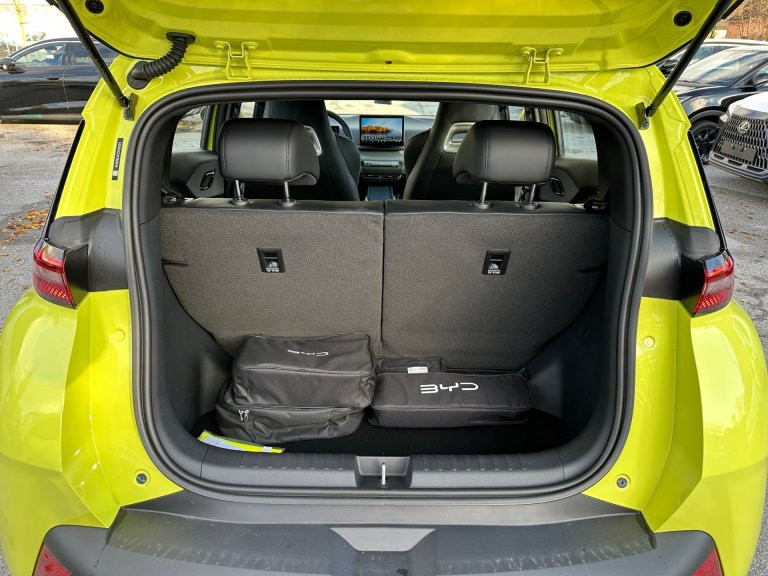 Bild 8: BYD Dolphin Surf Boost