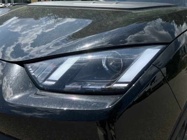 Bild 4: BYD Dolphin Surf Boost