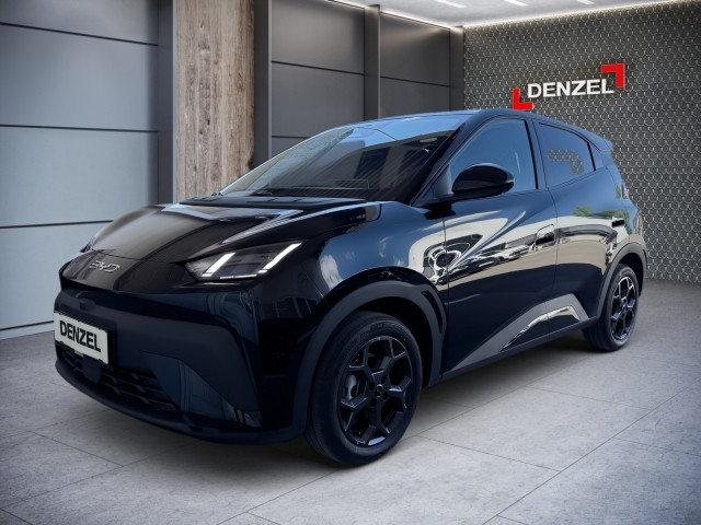 Bild 10: BYD Dolphin Surf Boost