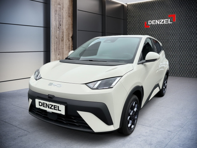 Bild 1: BYD Dolphin Surf Boost