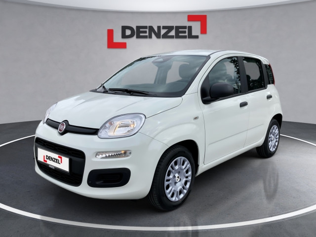 Bild 0: Fiat Pandina Icon