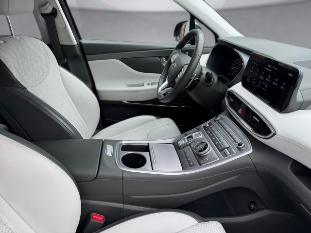 Bild 10: Hyundai Santa Fe PHEV Luxury