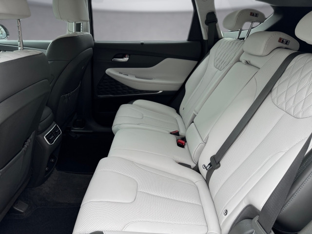 Bild 11: Hyundai Santa Fe PHEV Luxury