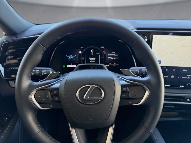 Bild 9: Lexus RX350h 4WD 250PS Executive + Technologiepaket