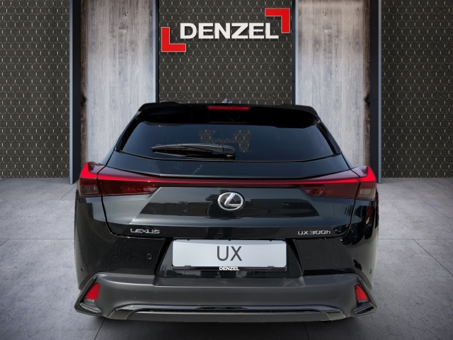 Bild 10: Lexus UX300h F-Sport Design FWD Hybrid