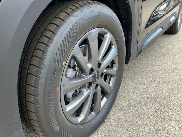 Bild 3: BYD ATTO 2 DM-i Boost