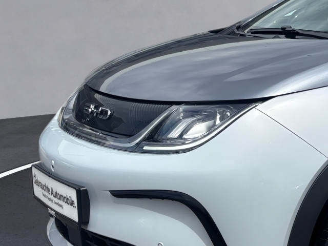 Bild 6: BYD Dolphin EV