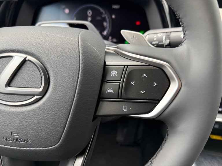 Bild 14: Lexus RZ SUV Executive 350e Frontantrieb