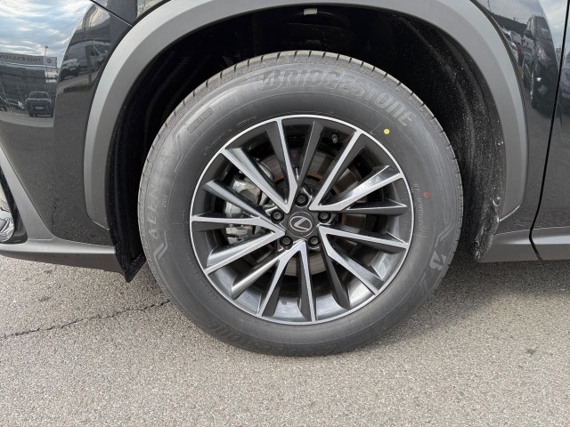 Bild 7: Lexus NX 350h ´26 2WD Executive + Interieur