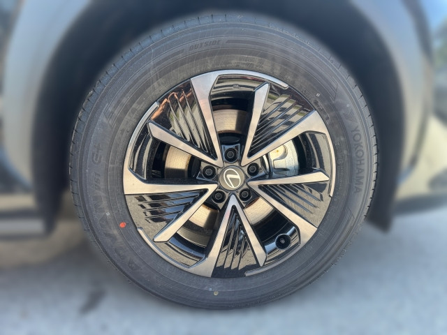 Bild 4: Lexus NX 350h ´26 2WD Executive + Interieur + Tech + Pano