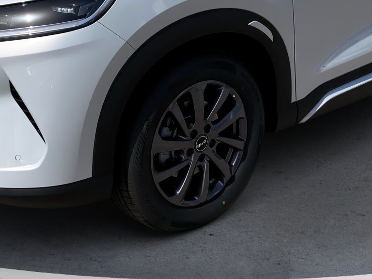Bild 7: BYD ATTO 2 DM-i Boost