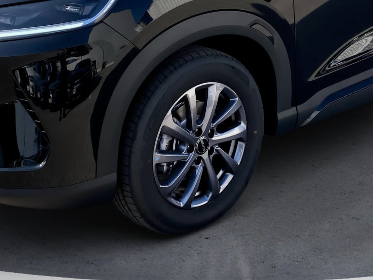 Bild 7: BYD ATTO 2 DM-i Boost