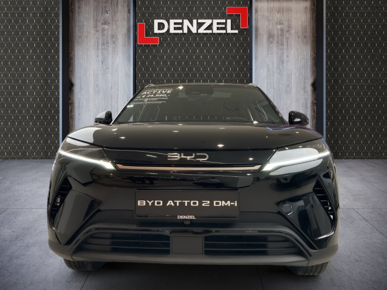 Bild 9: BYD ATTO 2 Comfort