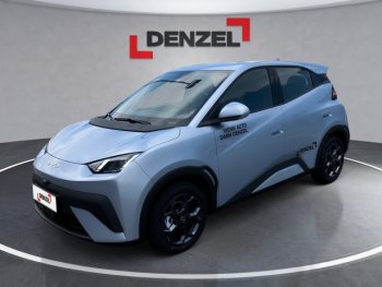 BYD