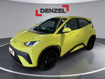 BYD Dolphin Surf 43,2 kW