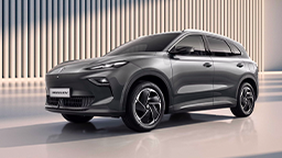 Leasing und Versicherung MGS5 EV