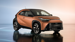 Leasing und Versicherung AYGO X