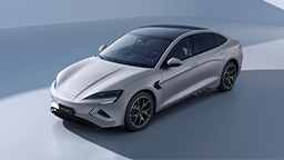 Leasing und Versicherung SEAL