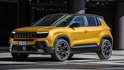 Leasing und Versicherung Avenger