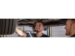 Pickerlüberprüfung