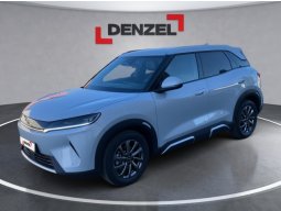 BYD