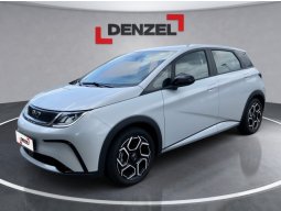 BYD