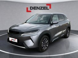 BYD