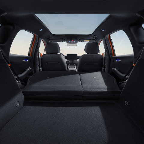 BYD Dolphin G DM-i Interieur